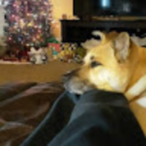 Meet your Posher, Jay